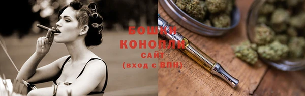 индика Белокуриха