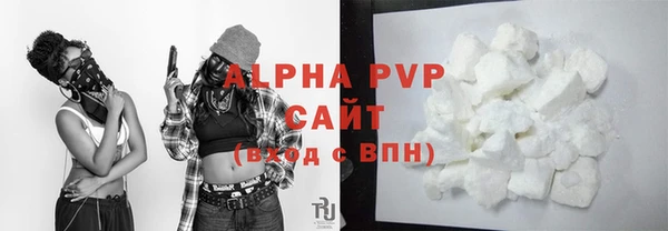 индика Белокуриха