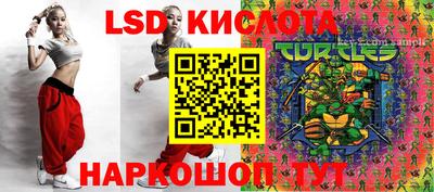 индика Наро-Фоминск