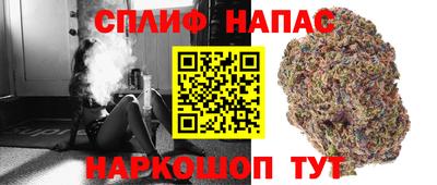 индика Наро-Фоминск