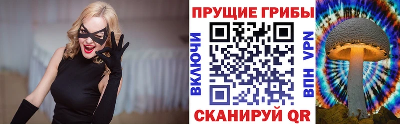 купить   Бирск  Галлюциногенные грибы прущие грибы 