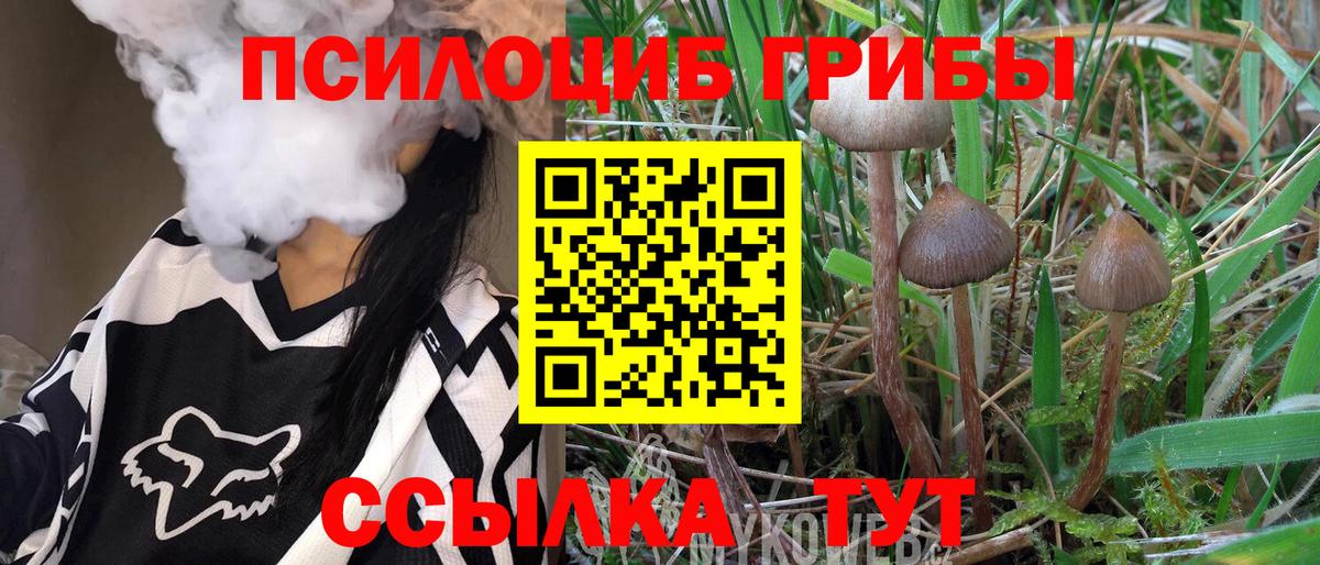 Псилоцибиновые грибы Cubensis  Вход с VPN  купить   Бирск 