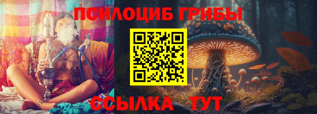 Галлюциногенные грибы мицелий Бирск